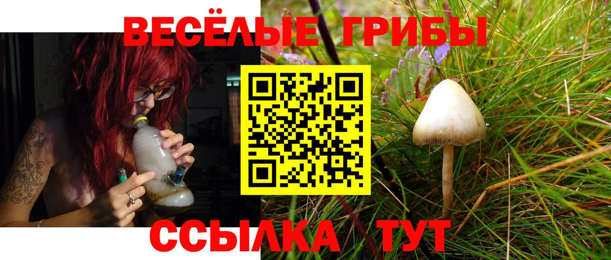 Галлюциногенные грибы Magic Shrooms Орск