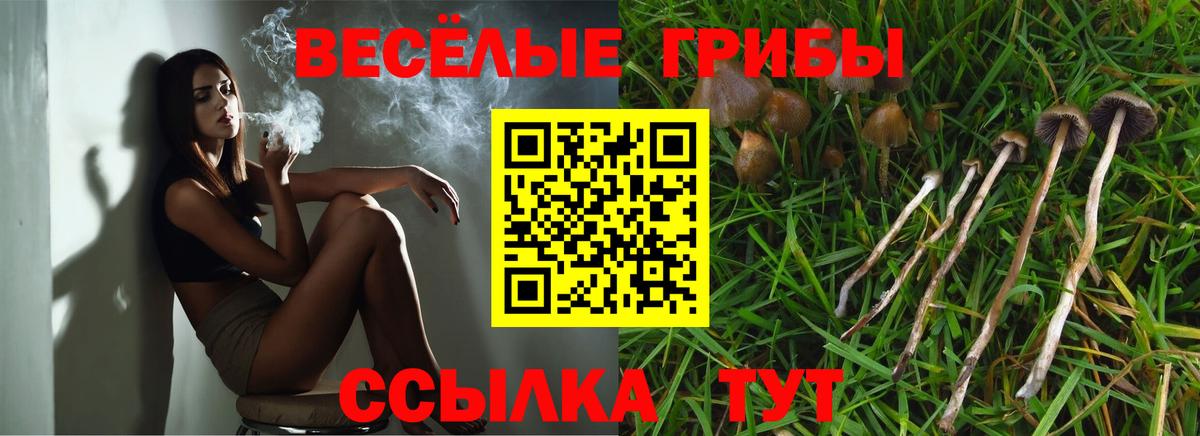 Галлюциногенные грибы мицелий  Вход с VPN  Орск 
